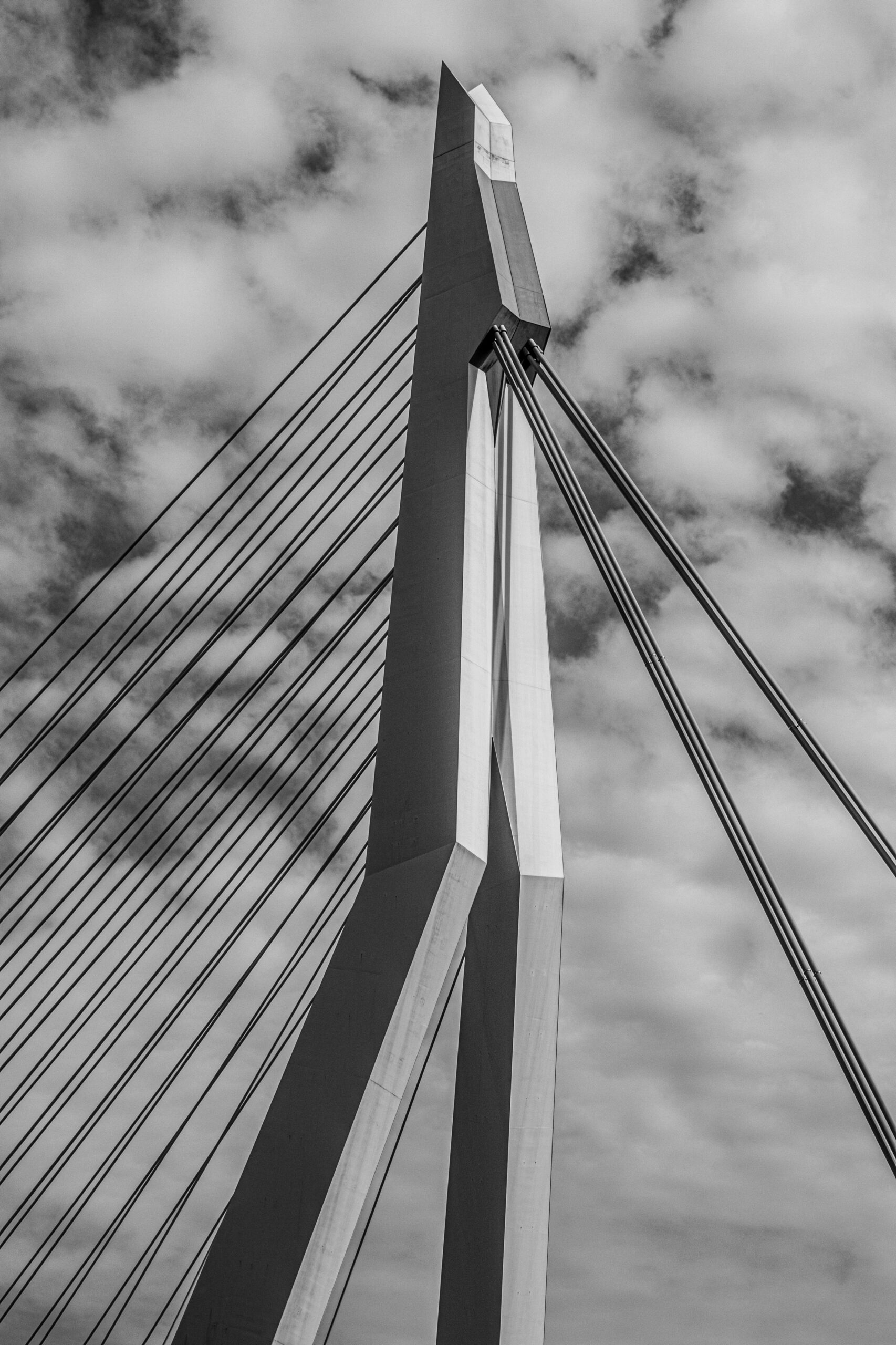 Erasmusbrug, Rotterdam, architectuurfotograaf, architectuur, architectuurfotografie, zwart wit, Janice Hijdra, Zuid Holland, Delft
